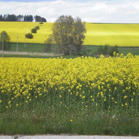 Apartament Privat Buk 100 Jindřichŭv Hradec Zewnętrze zdjęcie